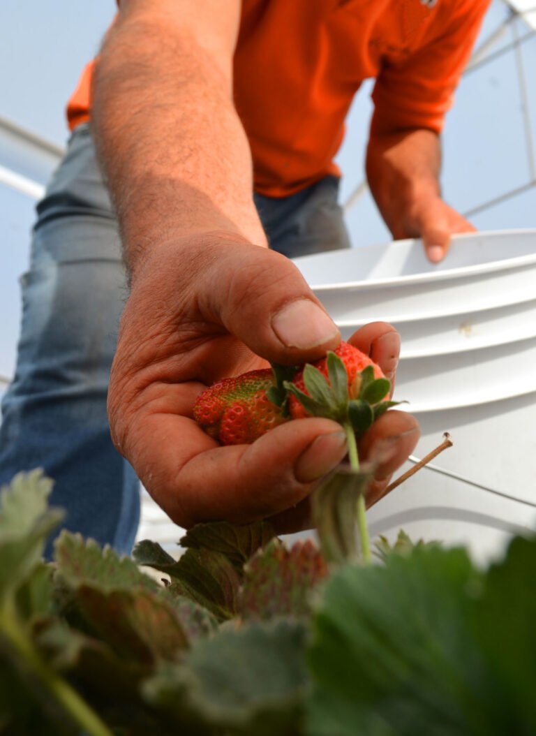 slider_fresa