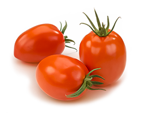 Jitomate Saladette