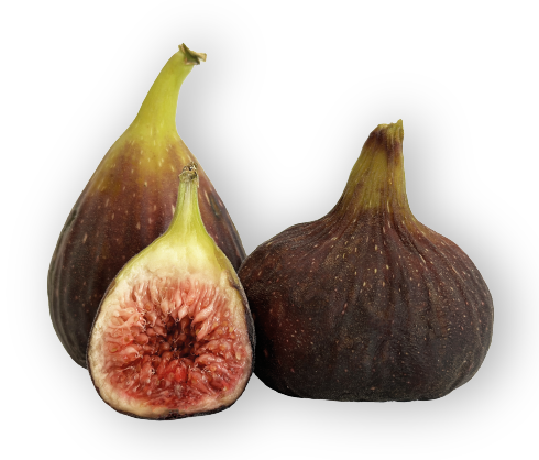 Higo Brown Turkey